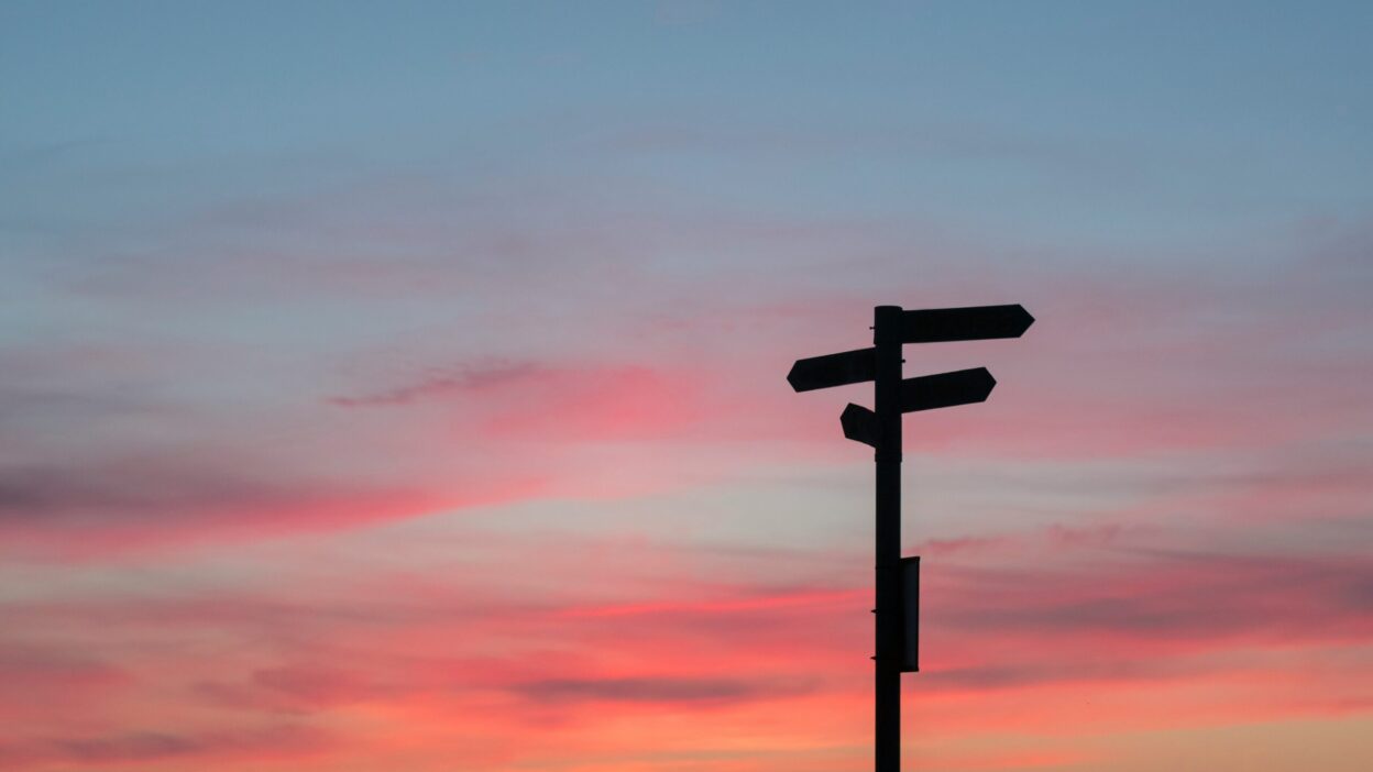 Where do we go from here? Research priorities for metabolic interventions in severe mental illness