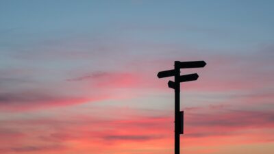 Where do we go from here? Research priorities for metabolic interventions in severe mental illness
