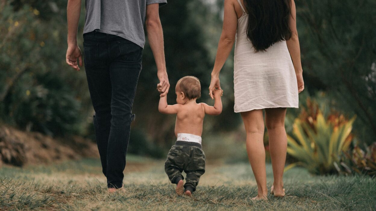whole-family support for domestic violence and abuse
